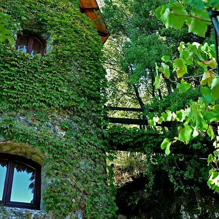 Melolia Villa